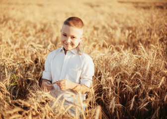 Naklejka na ściany i meble Happy boy in the white shirt stands in a field of ripe wheat in the sunset light.