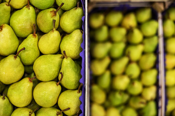 Pears in crates ready for shipping. Cold storage interior.