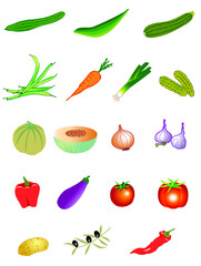 illustrations pictos légumes