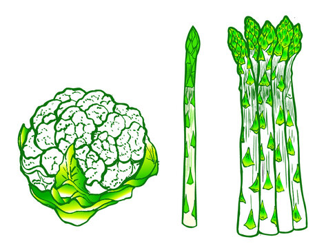 choux-fleur et asperges