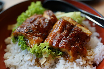 Unagi don, white rice topped with grilled eel. Japanese food.