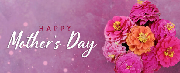 Pink zinnia flower banner on purple texture background for Mother's day celebration.