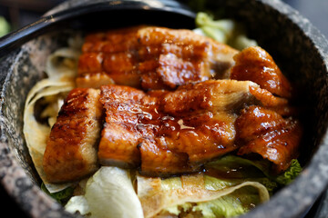 Unagi don, white rice topped with grilled eel. Japanese food.