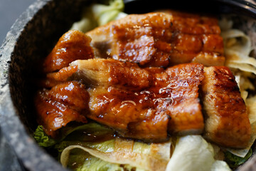 Unagi don, white rice topped with grilled eel. Japanese food.