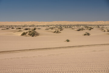 Désert du Namib