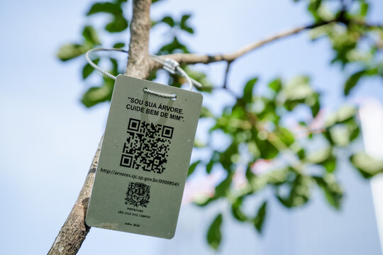 Placa de indentifica&ccedil;&atilde;o da arvore com qrcode nela para verificar sua especie da natureza.