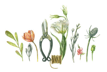 Watercolor set of florist tools - thread, pruner, flowers, leaves, herbs.Hand-drawn, isolated on white background