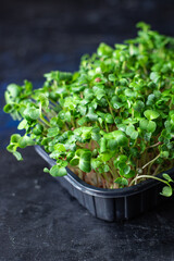 microgreen radish fresh herbs for salad and cooking snack trend meal copy space food background rustic. top view keto or paleo diet vegan or vegetarian food