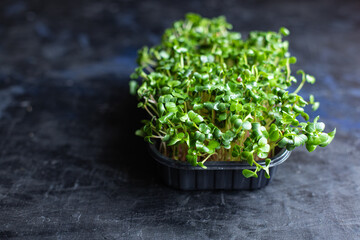 Obraz na płótnie Canvas microgreen radish fresh herbs for salad and cooking snack trend meal copy space food background rustic. top view keto or paleo diet vegan or vegetarian food
