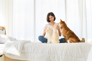 Young Asian woman relaxing and playing with three dogs (brown shiba inu, white shiba puppy and white maltese)in bedroom at home, Cheerful and nice couple with people and pet. Pet Lover concept