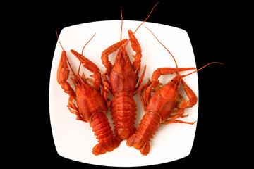 Three red boiled crayfish on a white square plate on wooden table.