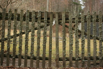 old gates © AnsisJnis