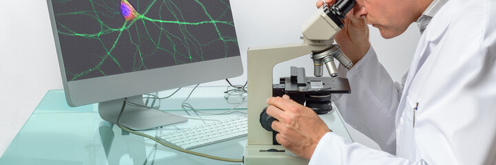 Senior male scientist observes sample under the microscope