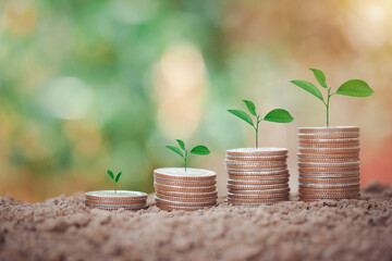 Step of coins stacking and tree growing top on soil, saving money concept, home, loan, education and plan for future isolated on bokeh background.
