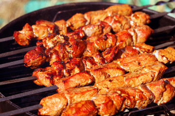 Delicious shish kebab.