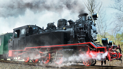 Fototapeta na wymiar Historical steam train in Rugen, Northern Germany