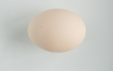 egg on white background