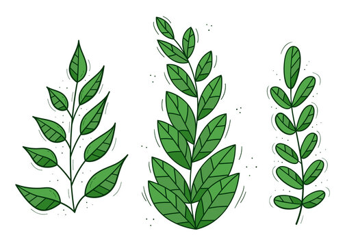 A set of three plants with striped leaves. Colored isolated doodle objects on a white.