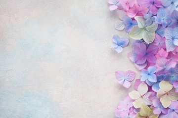 Fototapeten Decorative background with colored hydrangea flowers, space for text © tachinskamarina