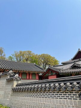 I took pictures of beautiful Changgyeonggung Palace on the weekend.