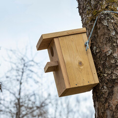 Birdhouse on fruit tree at springtime.