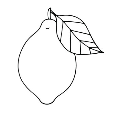 recommend clip art: Citrus lemon fruit line art icon. Isolated on a white background.
