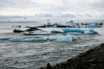 Eisschollen auf der Lagune Jökulsarlon , Island - Das abbrechende Gletschereis landet zunächst in der Lagune und triftet später in das Meer