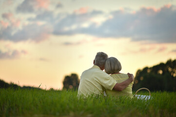 Naklejka na ściany i meble Back view. Happy elderly couple resting at sunset