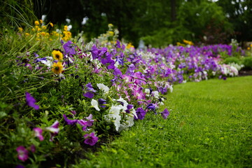 Blumeninstallation bei der Bundesgartenschau 