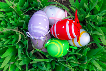 easter eggs in green grass