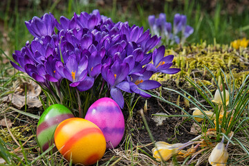 easter eggs and flowers