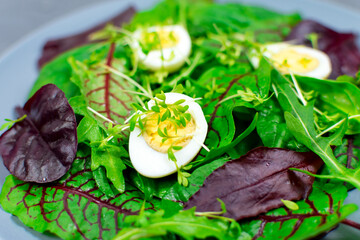 Quail eggs boiled on a lettuce leaf with microgreen sprouts. Proper nutrition. Vegan food. Close-up.