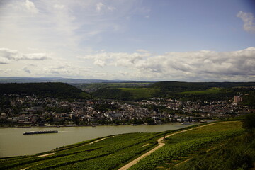 Fototapeta na wymiar Rüdesheim am Rhein mit Weinbergen