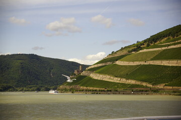 Burgruine Fürstenberg in Rheindiebach am Rhein bei einer Flussschiffahrt 