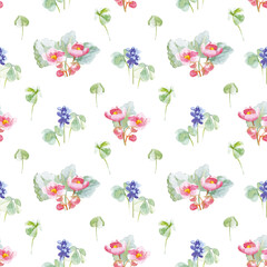 Floral watercolor patterns. Hand painted spring flowers on white background