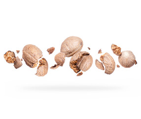 Crushed nutmegs close-up hovered in white space