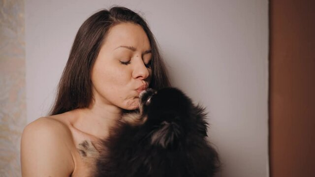 Funny little spitz dog licking young brunette woman at nose