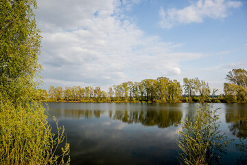 classic spring landscape, trees reflected in the water surface of a calm lake