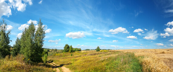 Bright summer rural russian landscape with country road and golden wheat fields