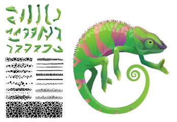 Green chameleon lizard cartoon vector tropical reptile animal. Chameleon creation kit with constructor set of skin pattern brush with camouflage spots and legs with toes © Vector Tradition