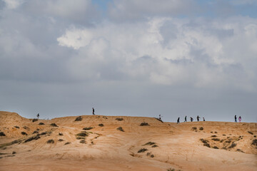 Tourists in Southern Israel