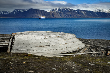 Arctic shipwreck and rescue  
