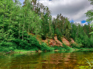 Forest rocky river. Forest river.