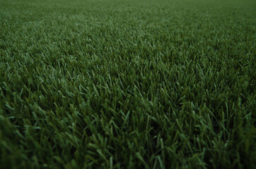 Detalle césped campo de fútbol