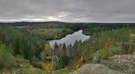 The shore of a forest lake. Lake in the forest.