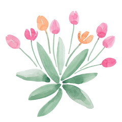 Simple tulips set, abstract watercolor free-hand illustration for postcard, invitation, banner