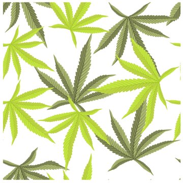 Beautiful realistic closeup of green cannabis on colorful background for wallpaper design. Botanical background. Seamless vector pattern.