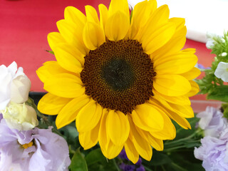 Naklejka premium a beautifully decorated set of sunflowers