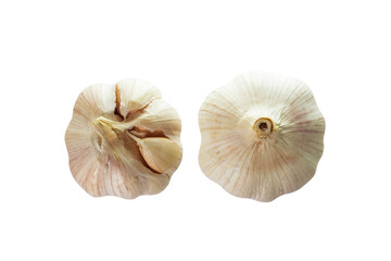 Garlic isolated on white background scene