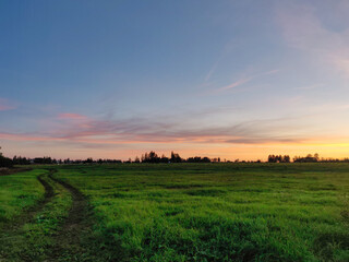 Sunset over the field. Golden sky. Bright sky.
